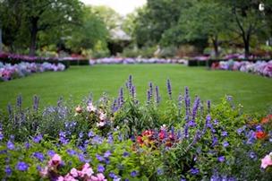 jardin anglais par chacun son jardin