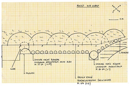 Plan de plantation